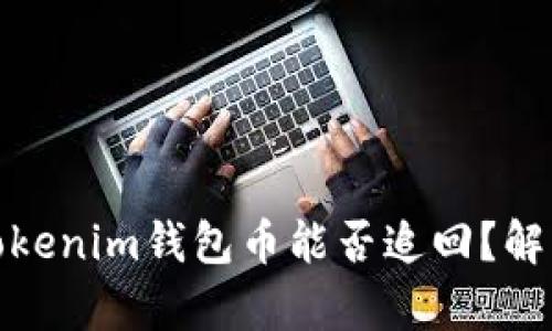 被盗的Tokenim钱包币能否追回？解析与建议
