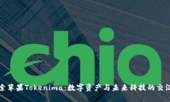 探索苹果Tokenima：数字资产与未来科技的交汇点