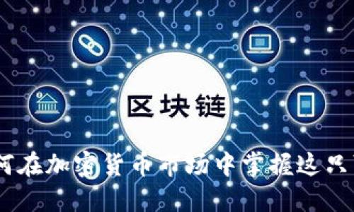 狗狗币虚拟交易：如何在加密货币市场中掌握这只可爱币种的投资机会