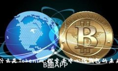 什么是Tokenim：探索去中心化钱包的未来