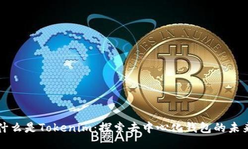 什么是Tokenim：探索去中心化钱包的未来