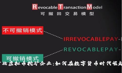 河北虚拟币挖矿企业：如何在数字货币时代崛起？