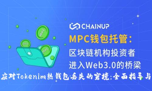 如何有效应对Tokenim热钱包丢失的窘境：全面指导与预防措施