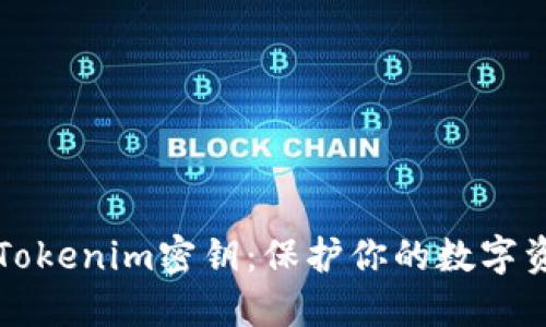 如何安全使用Tokenim密钥：保护你的数字资产的最佳实践