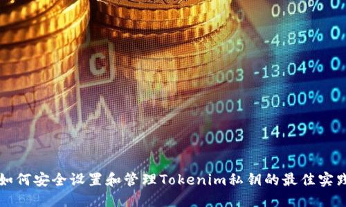 如何安全设置和管理Tokenim私钥的最佳实践