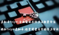 虚拟币TripM：全面解析其潜力与投资价值揭秘Tr