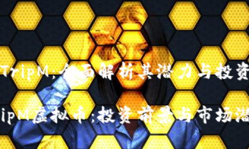 虚拟币TripM：全面解析其潜力与投资价值

揭秘TripM虚拟币：投资前景与市场潜力分析