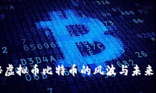 揭秘虚拟币比特币的风波与未来展望
