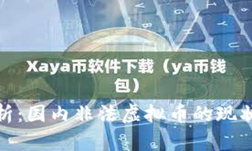 深度解析：国内非法虚拟币的现状与影响