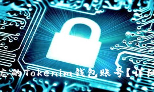 如何找回遗忘的Tokenim钱包账号？详细步骤与建议