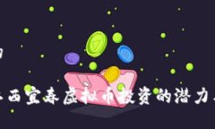 思考的探索江西宜春虚拟币投资的潜力与风险