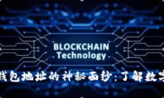 揭开虚拟币钱包地址的神秘面纱：了解数字货币