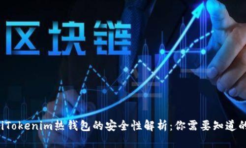 bialtiTokenim热钱包的安全性解析：你需要知道的一切