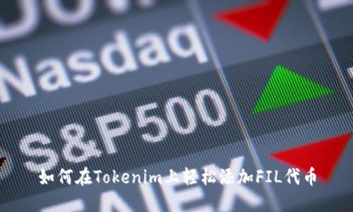如何在Tokenim上轻松添加FIL代币