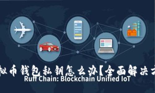 忘记虚拟币钱包私钥怎么办？全面解决方案指南