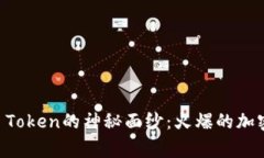 揭开Doge Token的神秘面纱：火爆的加密货币之旅