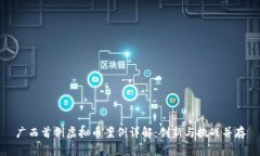 广西首例虚拟币案例详解：创新与挑战并存