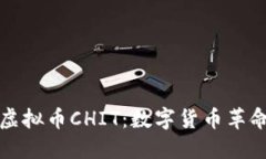 深入了解虚拟币CHIT：数字货币革命中的新宠