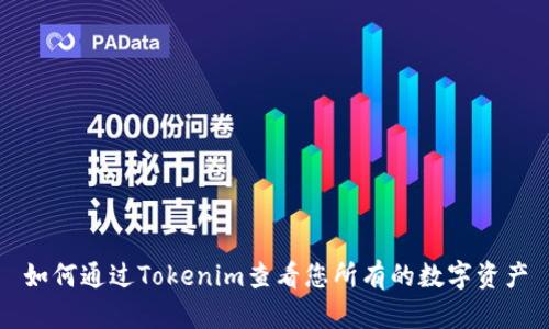 如何通过Tokenim查看您所有的数字资产