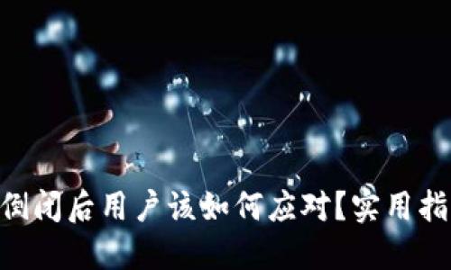 Tokenim倒闭后用户该如何应对？实用指南与建议