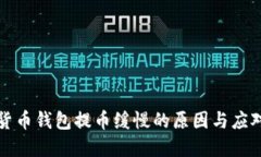 虚拟货币钱包提币缓慢的原因与应对策略