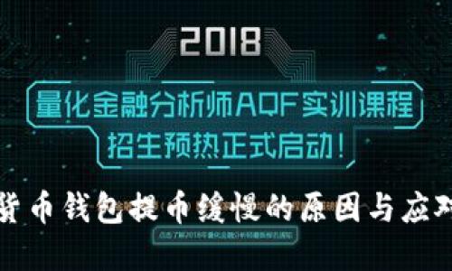 虚拟货币钱包提币缓慢的原因与应对策略