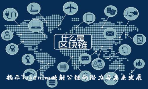 揭示Tokenim映射公链的潜力与未来发展