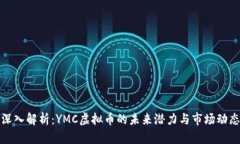 深入解析：YMC虚拟币的未来潜力与市场动态