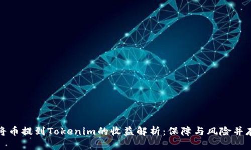 将币提到Tokenim的收益解析：保障与风险并存