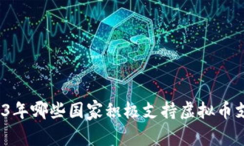 2023年哪些国家积极支持虚拟币支付？