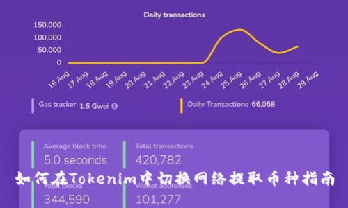 如何在Tokenim中切换网络提取币种指南