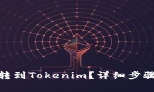 如何快速将Bitz转到Tokenim？详细步骤与常见问题解答