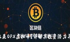   baioti什么是OPX虚拟币？详解其投资潜力与市场前