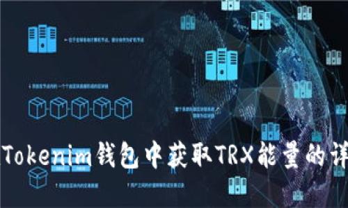 如何在Tokenim钱包中获取TRX能量的详细指南
