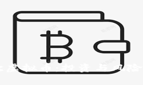 非欧虚拟币：投资与风险分析