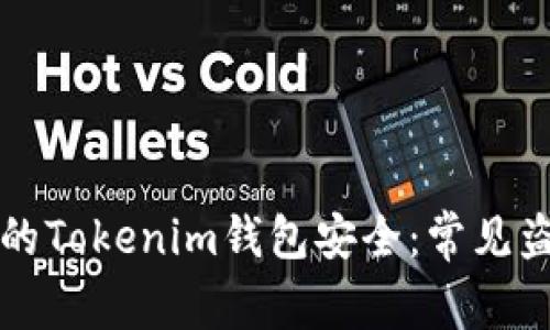 如何保护你的Tokenim钱包安全：常见盗窃方式分析