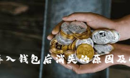 虚拟币导入钱包后消失的原因及解决方案