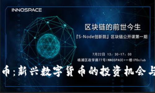 鸟币虚拟币：新兴数字货币的投资机会与风险解析