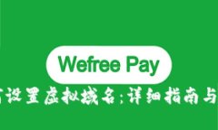 币印如何设置虚拟域名：详细指南与最佳实践