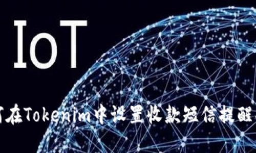 如何在Tokenim中设置收款短信提醒功能