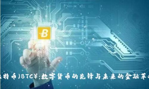 比特币（BTC）：数字货币的先锋与未来的金融革命