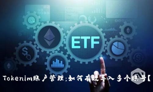 Tokenim账户管理：如何有效导入多个账号？