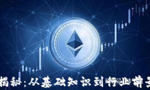 
虚拟币科学揭秘：从基础知识到行业前景的全面解析