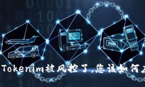 如果Tokenim被风控了，您该如何应对？