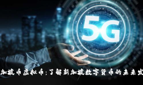 新加坡币虚拟币：了解新加坡数字货币的未来发展