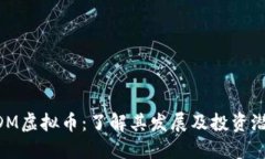 BDM虚拟币：了解其发展及投资潜力