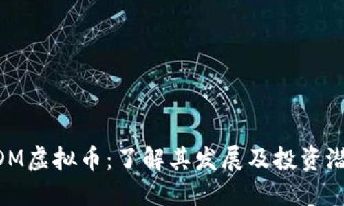 BDM虚拟币：了解其发展及投资潜力