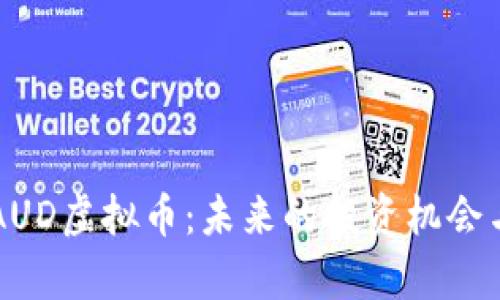 深入了解AUD虚拟币：未来的投资机会与风险分析
