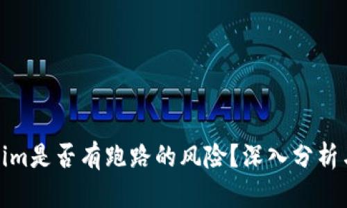 Tokenim是否有跑路的风险？深入分析与探讨