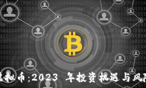   
节点虚拟币：2023 年投资机遇与风险分析